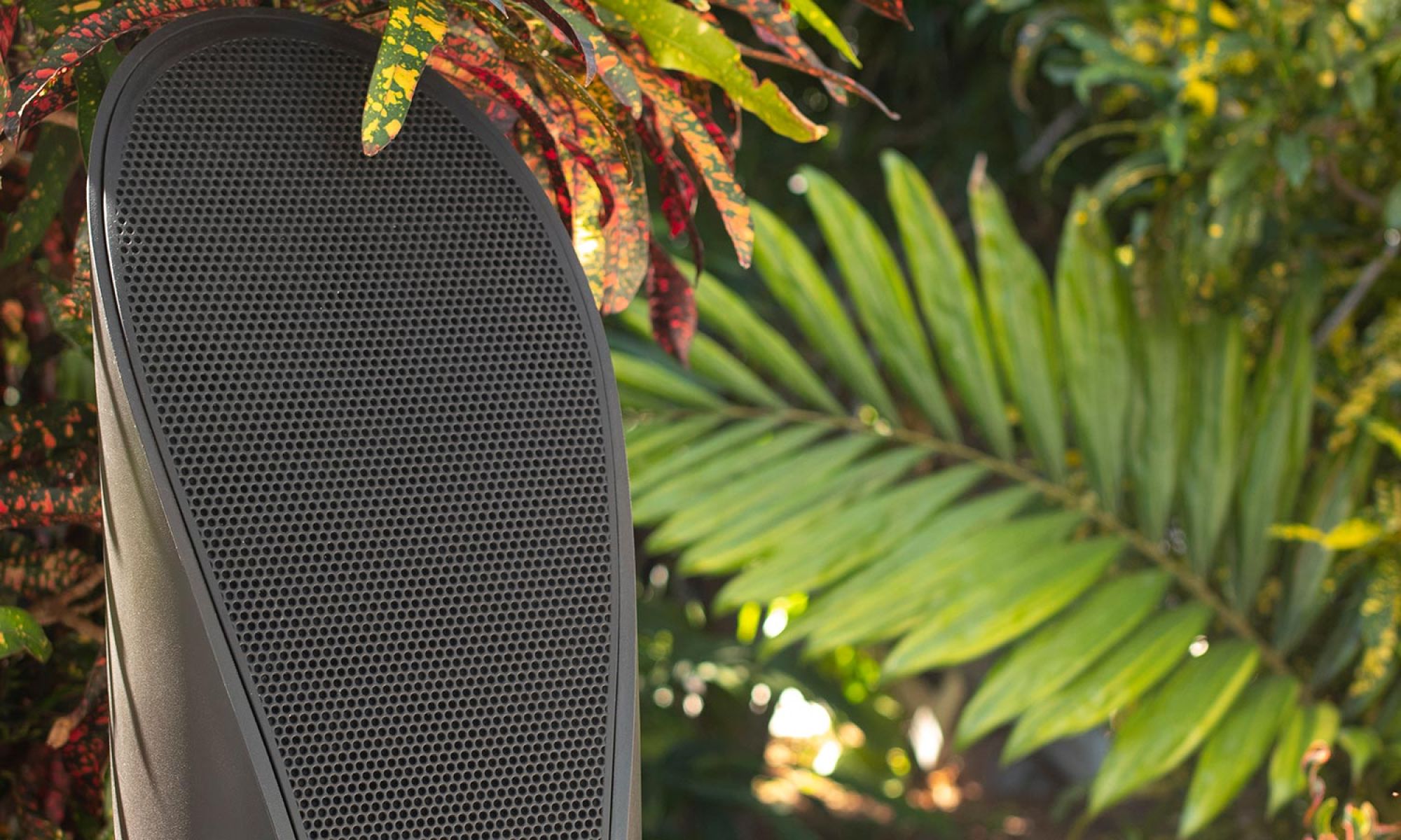 Black outdoor speaker with perforated grille surrounded by lush tropical plants
