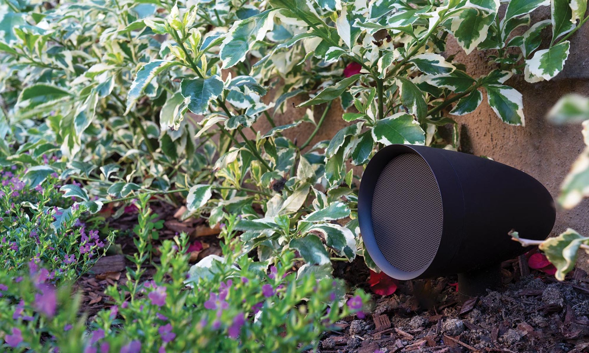 Low-profile black garden speaker placed among green and purple plants